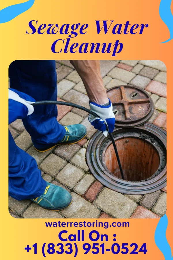 Sewage Water Cleanup in Millville, PA