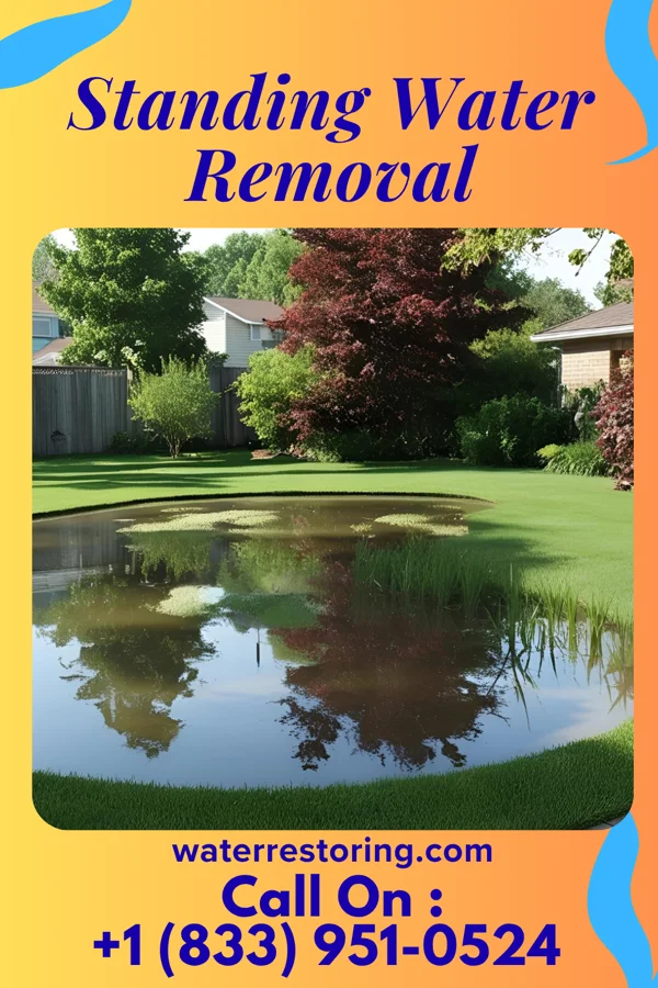 Standing Water Removal in Millville, PA